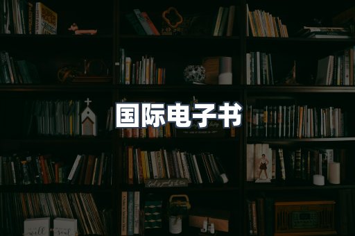 国际电子书